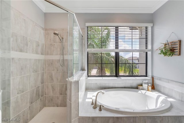 19128 Elston Way, Estero, FL 33928 - full bath with crown molding, a tile shower, and a garden tub