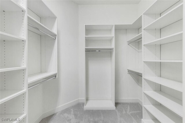 walk in closet featuring carpet floors