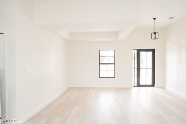 1194 Calico St, Labelle, FL 33935 - unfurnished room with baseboards, a tray ceiling, and light wood-style flooring