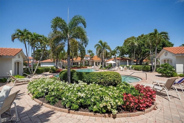 2387 Terra Verde Ln Unit 2387, Naples, FL 34105 - community pool featuring a patio