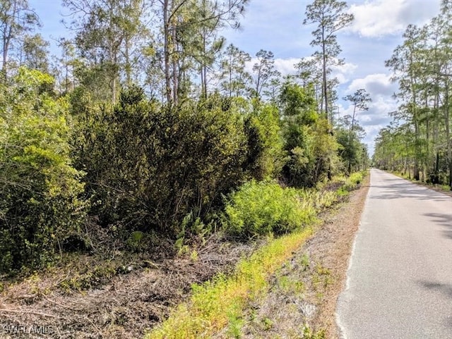 18203 Dusty Ln, Estero, FL 33928