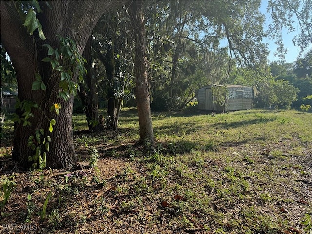 4004 Sena Ln, Labelle, FL 33935 - view of yard with an outbuilding and a shed