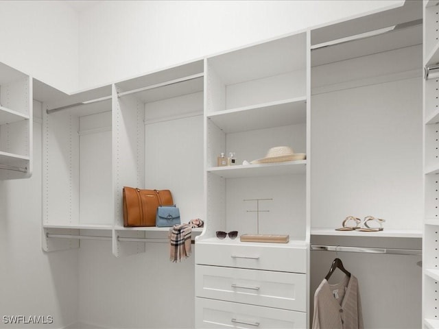 201 S Heathwood Dr, Marco Island, FL 34145 - view of spacious closet