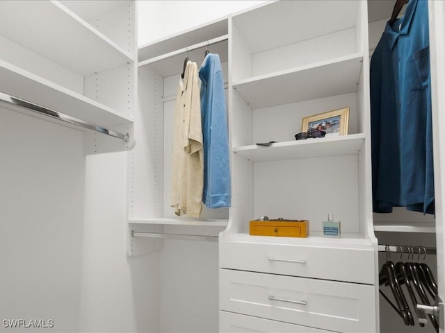 201 S Heathwood Dr, Marco Island, FL 34145 - view of spacious closet
