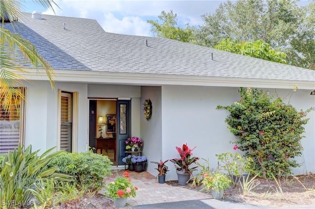 property entrance featuring stucco siding and roof with shingles