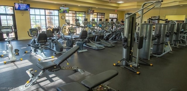 exercise room featuring a wealth of natural light and a raised ceiling