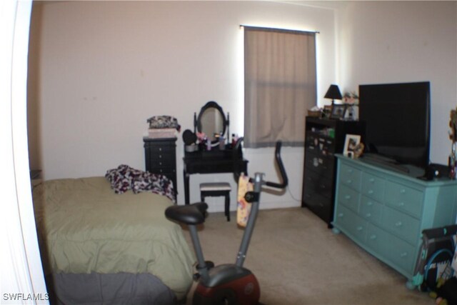 509 SW 28th St, Cape Coral, FL 33914 - bedroom featuring light carpet