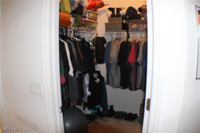 509 SW 28th St, Cape Coral, FL 33914 - view of closet