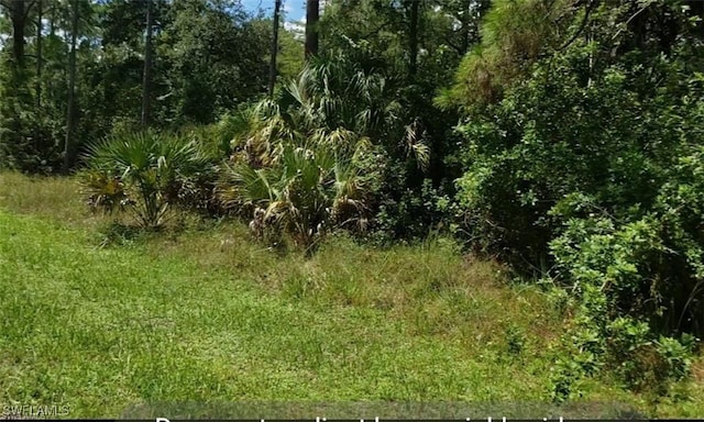 1707 Maple Ave N, Lehigh Acres, FL 33972