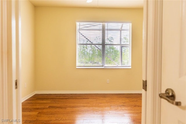 21319 Bella Terra Blvd, Estero, FL 33928 - photo 33