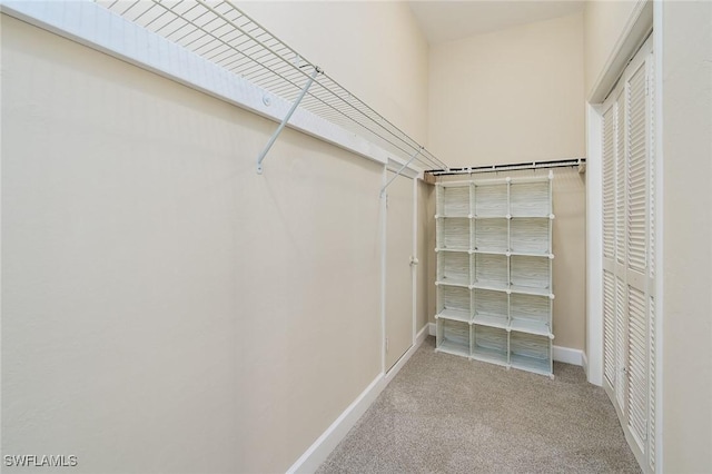 walk in closet with carpet floors
