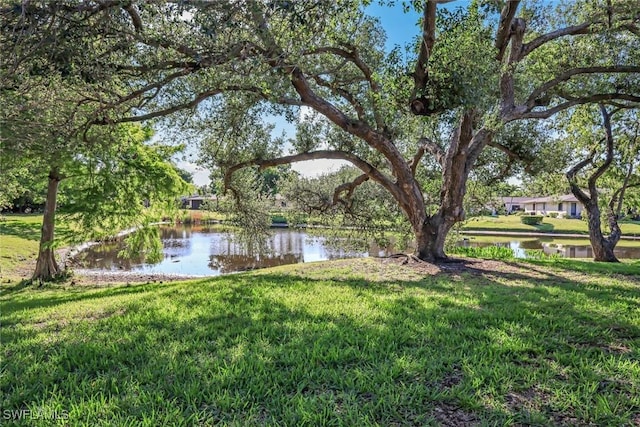 view of yard featuring a water view