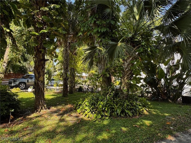 270 River Oaks Dr, Labelle, FL 33935 - view of yard