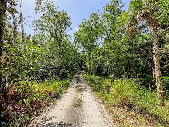 270 River Oaks Dr, Labelle, FL 33935 - view of street featuring a view of trees
