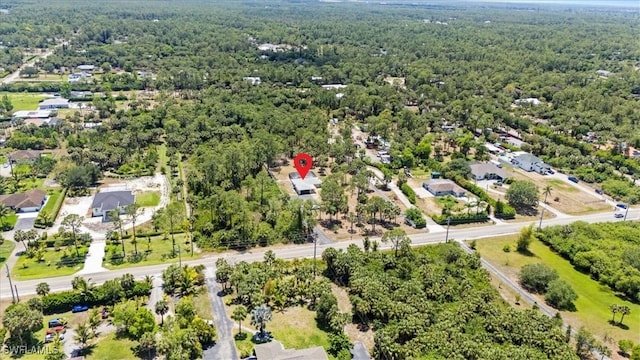 aerial view of a forest