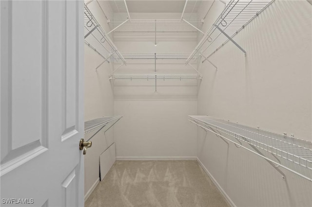21075 Saint Peters Dr S, Fort Myers Beach, FL 33931 - walk in closet with light carpet