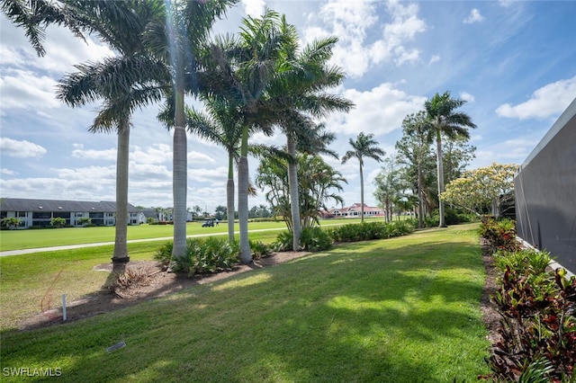 522 Countryside Dr, Naples, FL 34104 - view of yard
