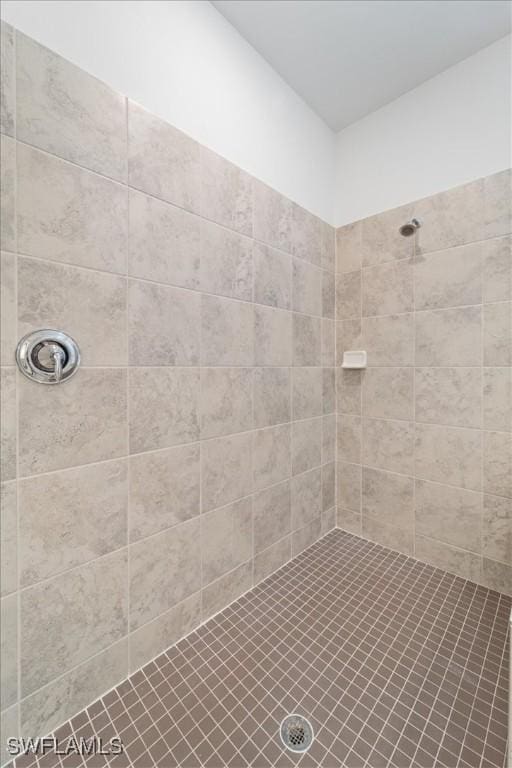 2161 Gardenia Ave, Port Charlotte, FL 33953 - bathroom with tiled shower