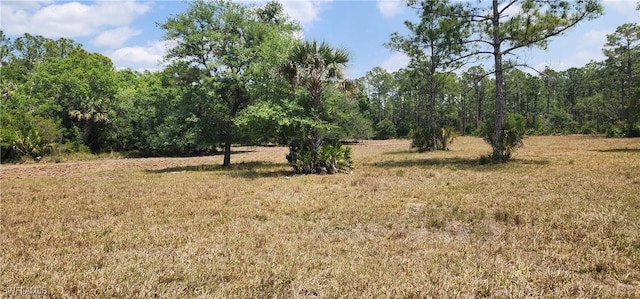 3105 Secretariat Dr, Labelle, FL 33935 - view of nature with a wooded view
