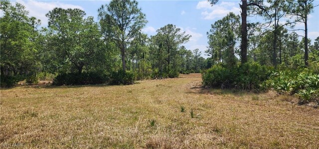 3105 Secretariat Dr, Labelle, FL 33935 - view of nature