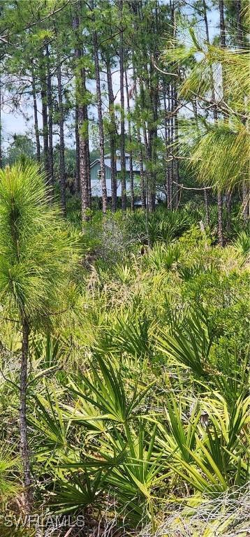 3105 Secretariat Dr, Labelle, FL 33935 - view of nature