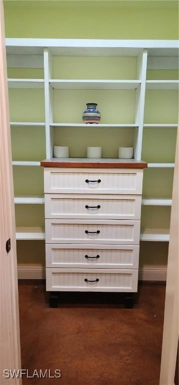 3105 Secretariat Dr, Labelle, FL 33935 - view of spacious closet