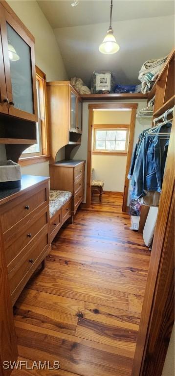 3105 Secretariat Dr, Labelle, FL 33935 - walk in closet with dark wood-style flooring and vaulted ceiling
