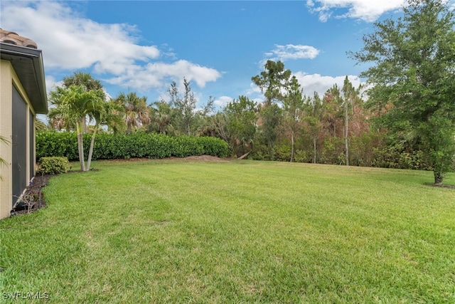 19657 Estero Pointe Ln, Fort Myers, FL 33908 - view of green lawn