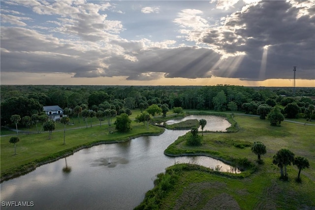 view of property's community featuring a water view
