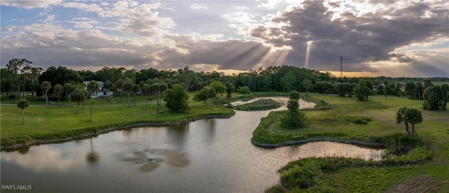 view of community featuring a water view