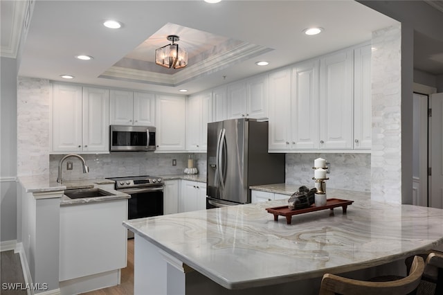 4761 W Bay Blvd Unit 303, Estero, FL 33928 - kitchen featuring stainless steel appliances, a sink, a peninsula, recessed lighting, and light stone countertops