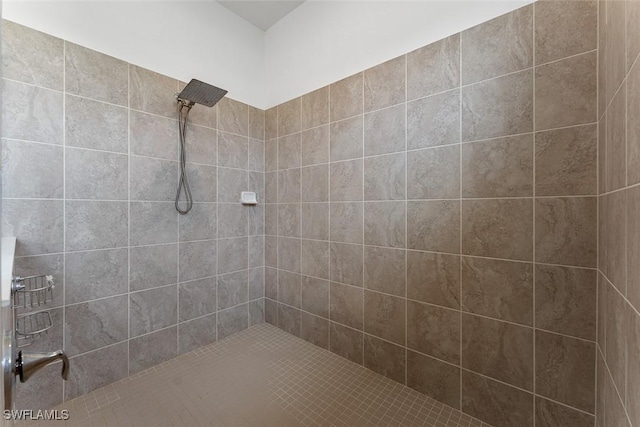 14071 Binghampton Dr, Fort Myers, FL 33905 - full bath featuring a tile shower