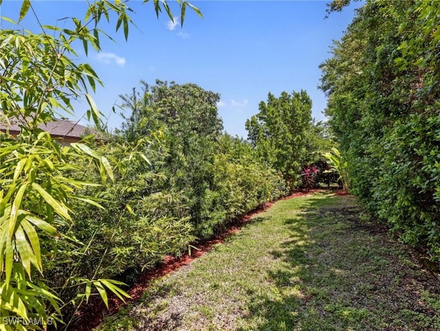 6030 Birnam Wood Ln, Fort Myers, FL 33908 - view of yard