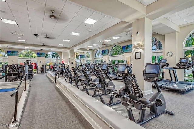 exercise room with carpet flooring, a paneled ceiling, and a wealth of natural light