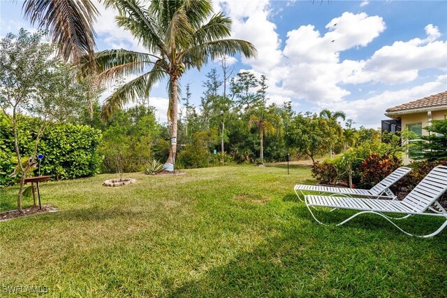 11221 Yellow Poplar Dr, Fort Myers, FL 33913 - view of yard