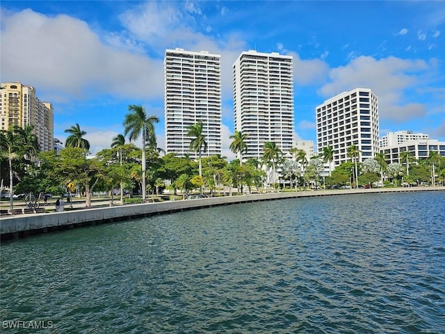 water view featuring a view of city
