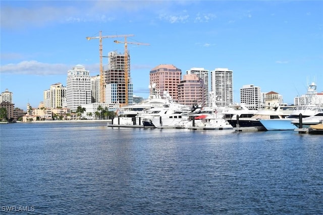 water view featuring a view of city