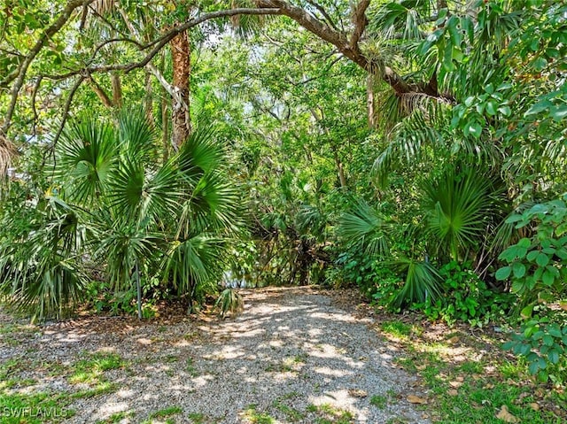 10390 River Dr, Bonita Springs, FL 34135