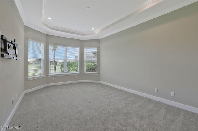 11912 Noveli Ct, Fort Myers, FL 33913 - unfurnished room with a raised ceiling, carpet, baseboards, and ornamental molding