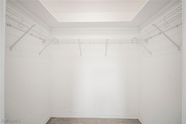 view of walk in closet