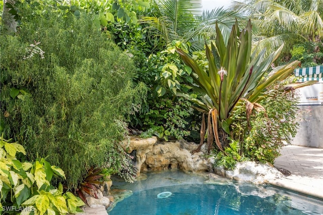 1135 7th St S, Naples, FL 34102 - view of swimming pool