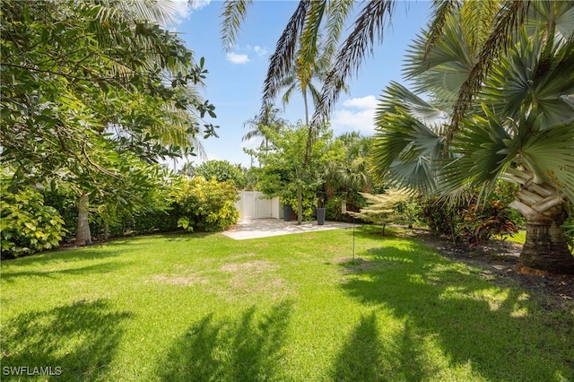 1135 7th St S, Naples, FL 34102 - view of yard