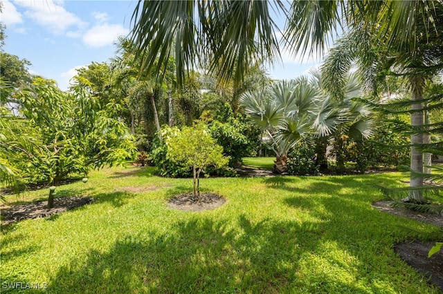 1135 7th St S, Naples, FL 34102 - view of green lawn