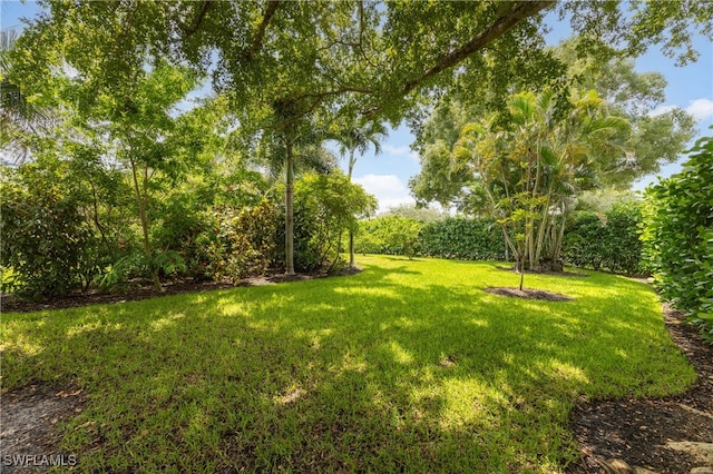 1135 7th St S, Naples, FL 34102 - view of green lawn
