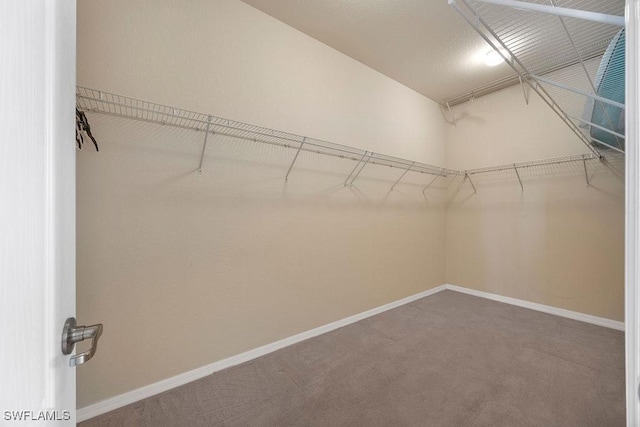 spacious closet with carpet floors