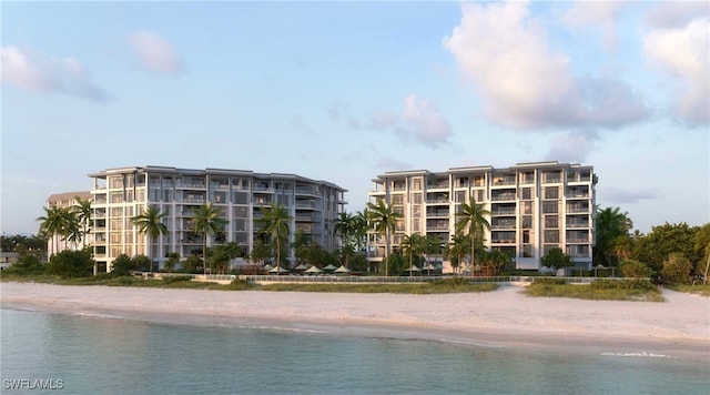 water view featuring a beach view