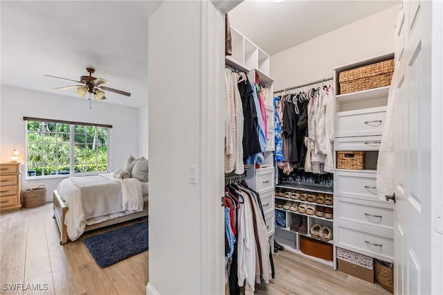 20310 Estero Gardens Cir Unit 102, Estero, FL 33928 - walk in closet with a ceiling fan and light wood-style flooring