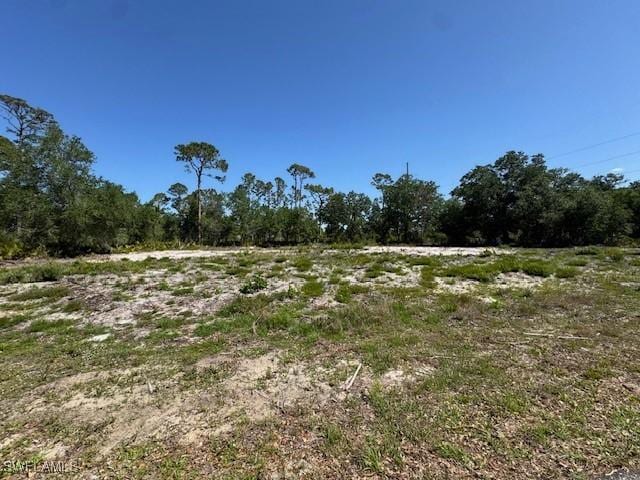 21084 Dearman Ave, Port Charlotte, FL 33954 - photo 1
