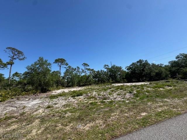 21084 Dearman Ave, Port Charlotte, FL 33954 - photo 3