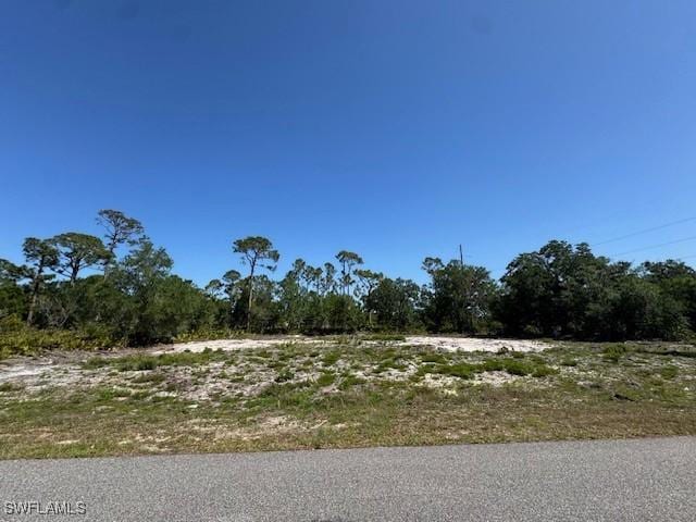 21084 Dearman Ave, Port Charlotte, FL 33954 - photo 4